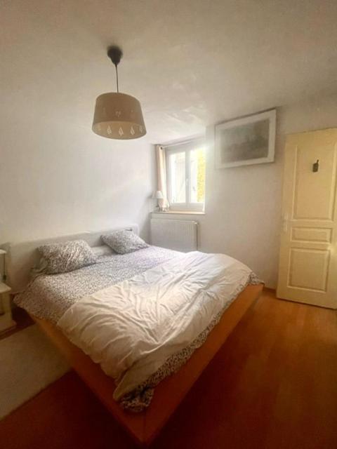 Appartement Les Lucioles à Thonon-les-Bains Extérieur photo